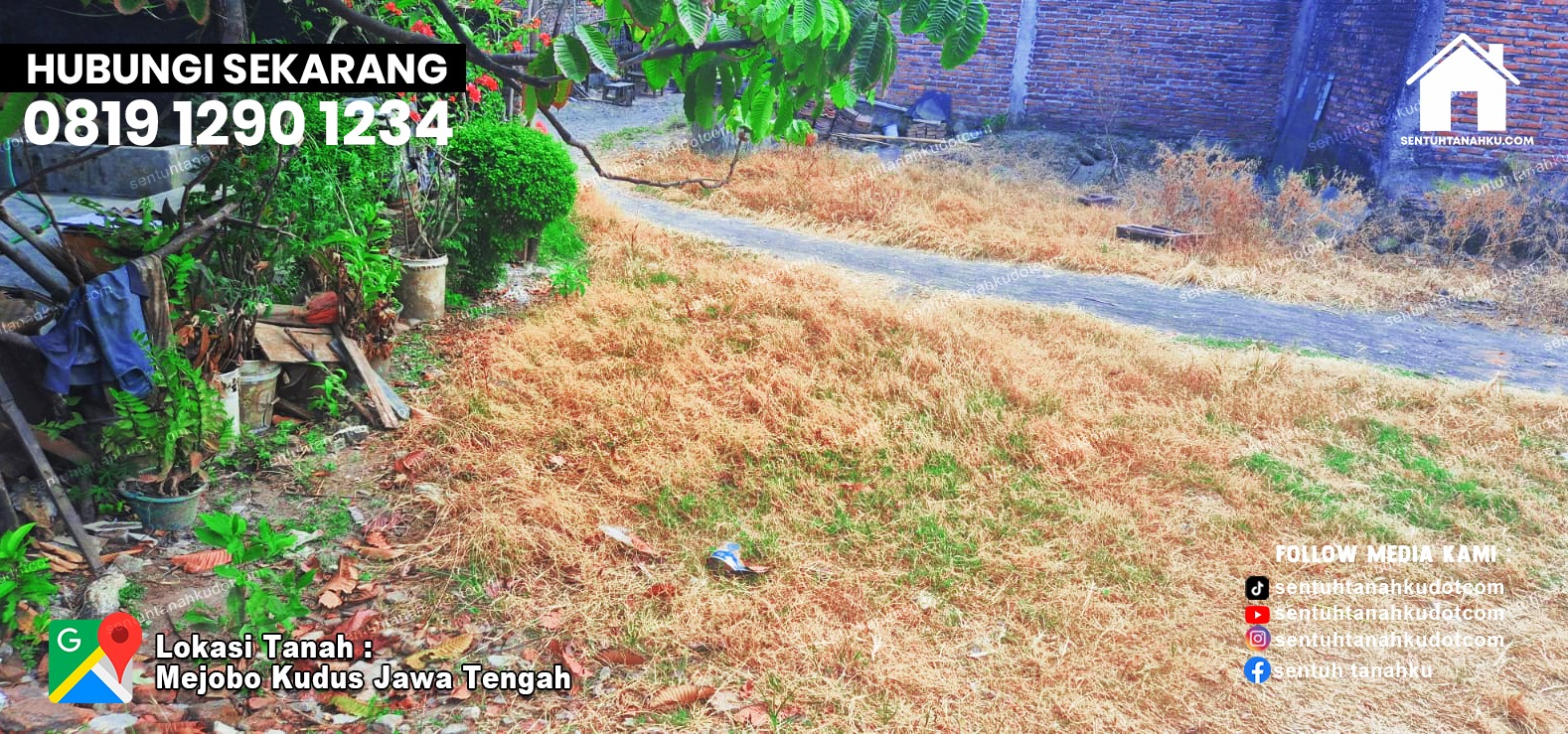 TANAH