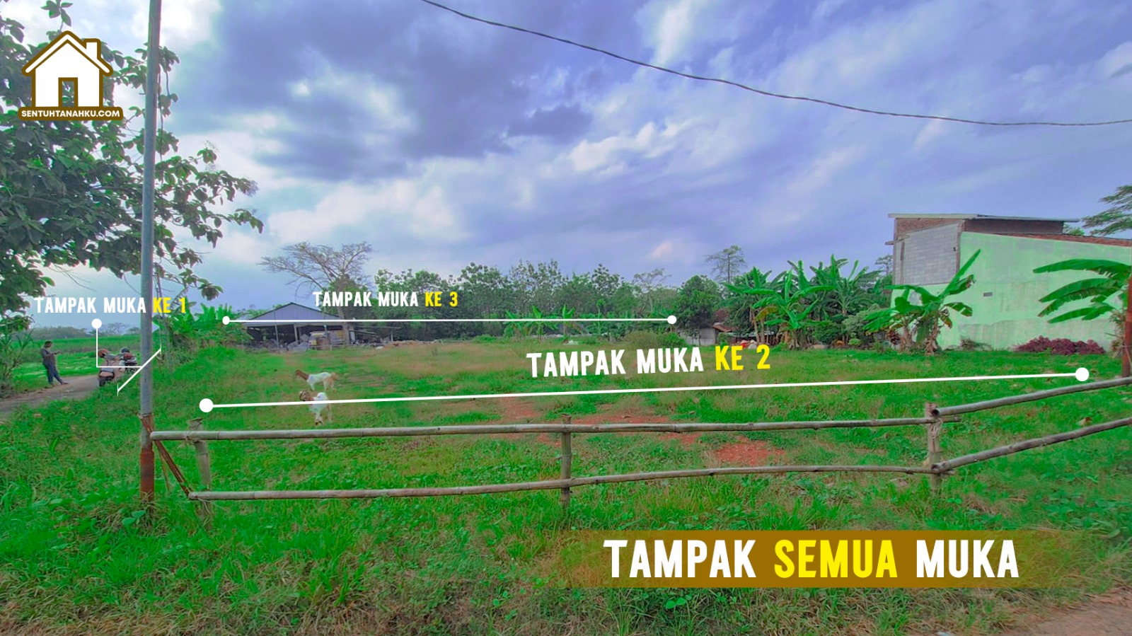 tanah