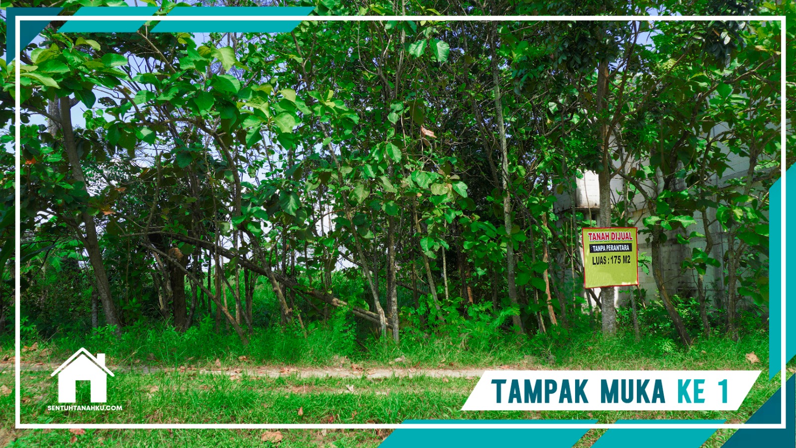 TANAH