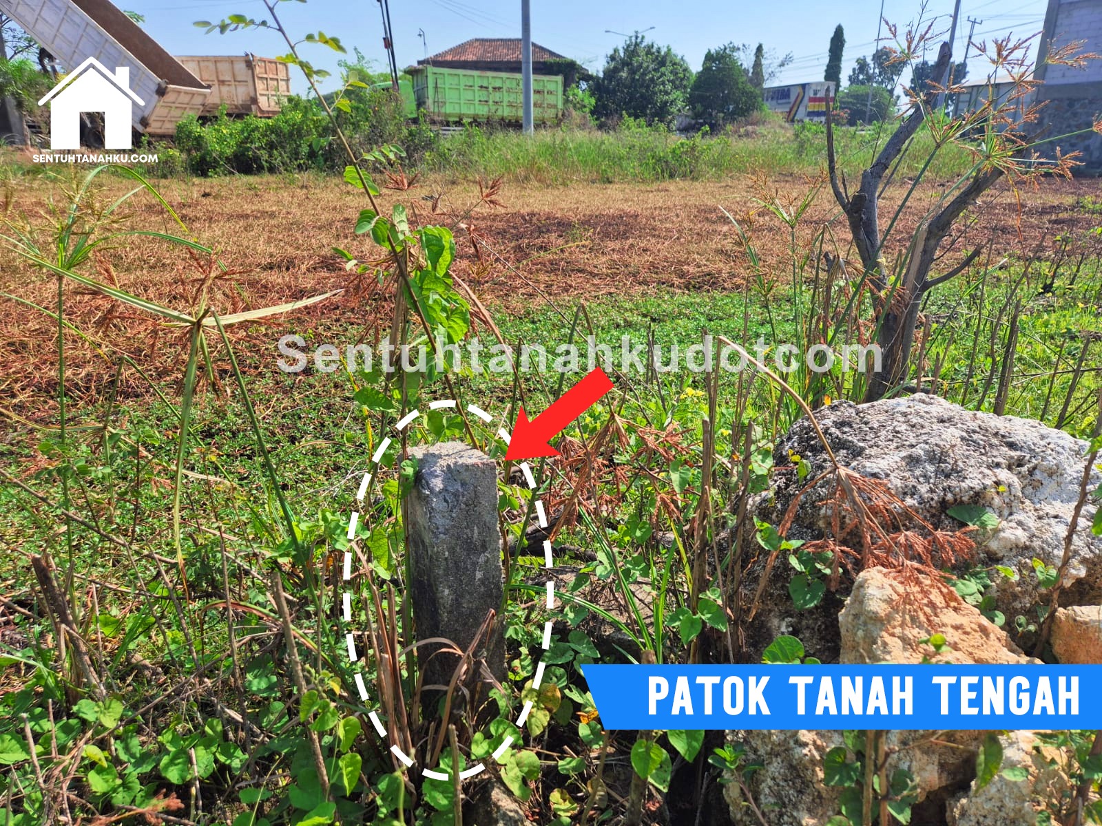 TANAH