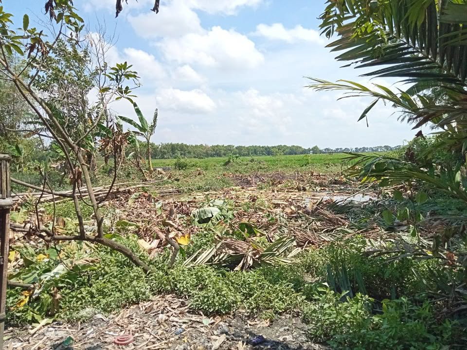 Tanah Pekarangan