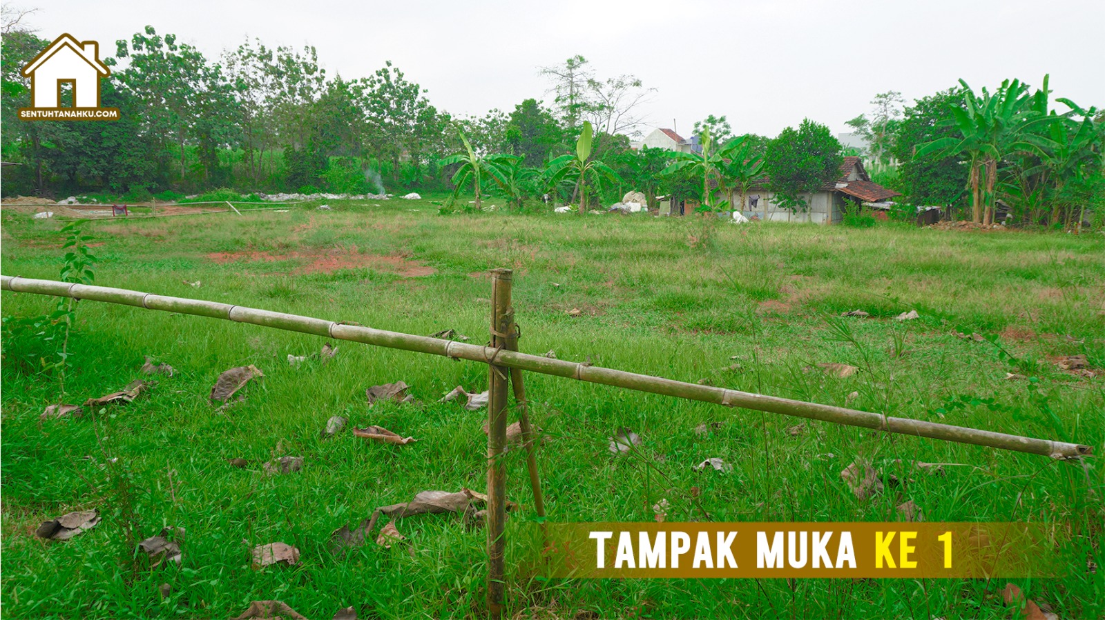 tanah