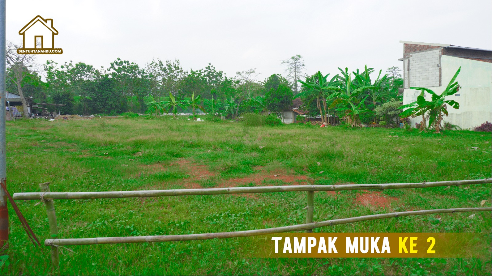 tanah