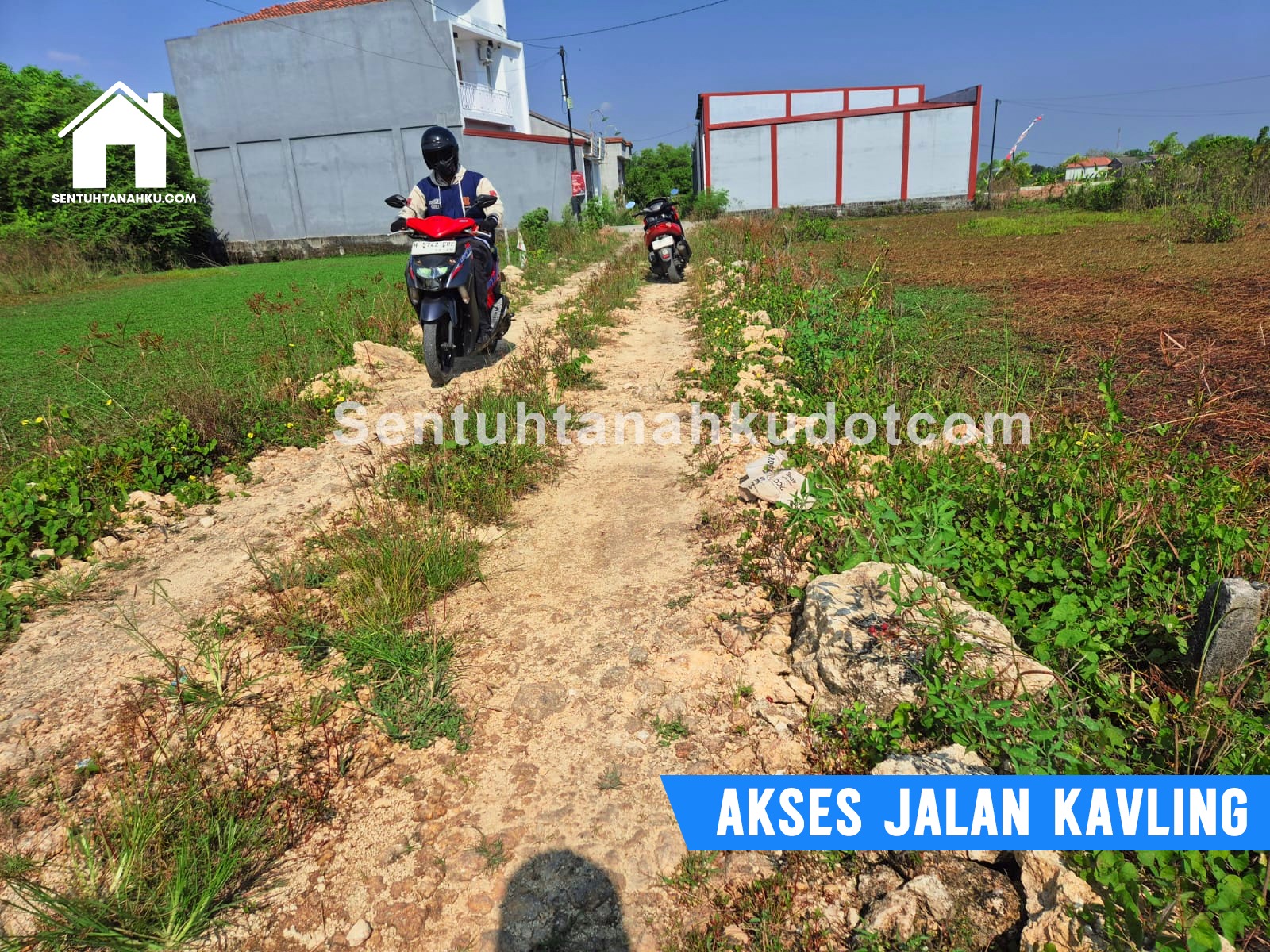 TANAH