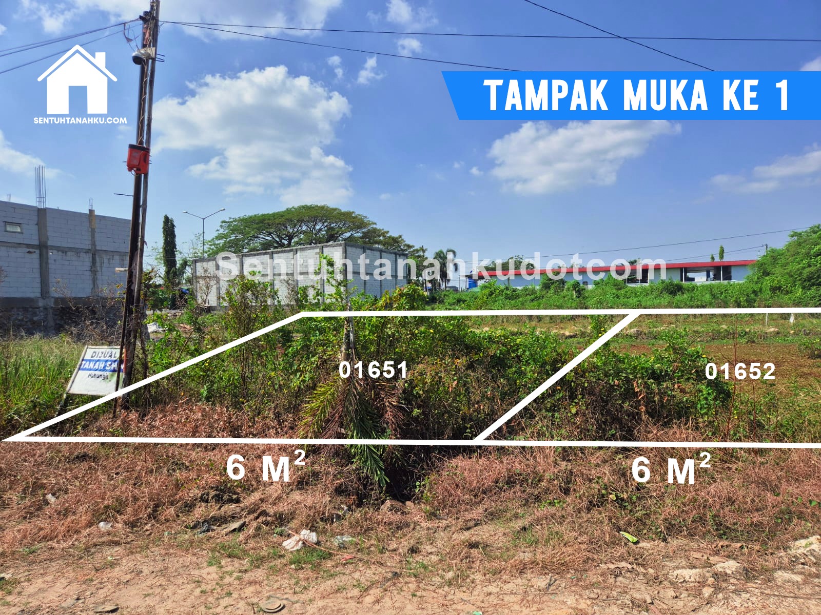 TANAH