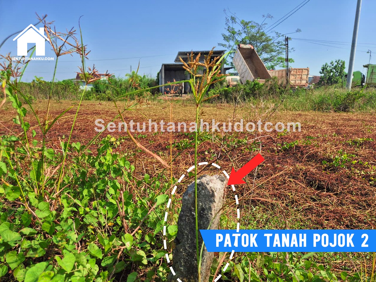 TANAH