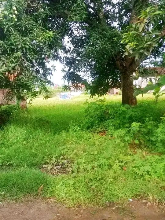Tanah Buaran