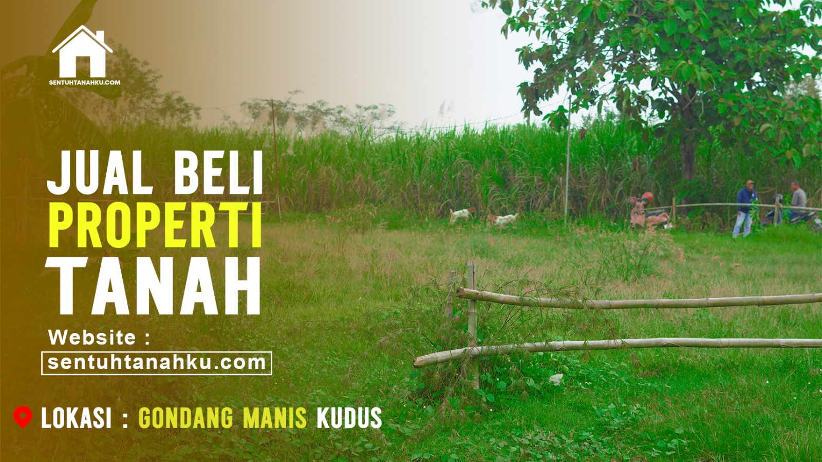 tanah