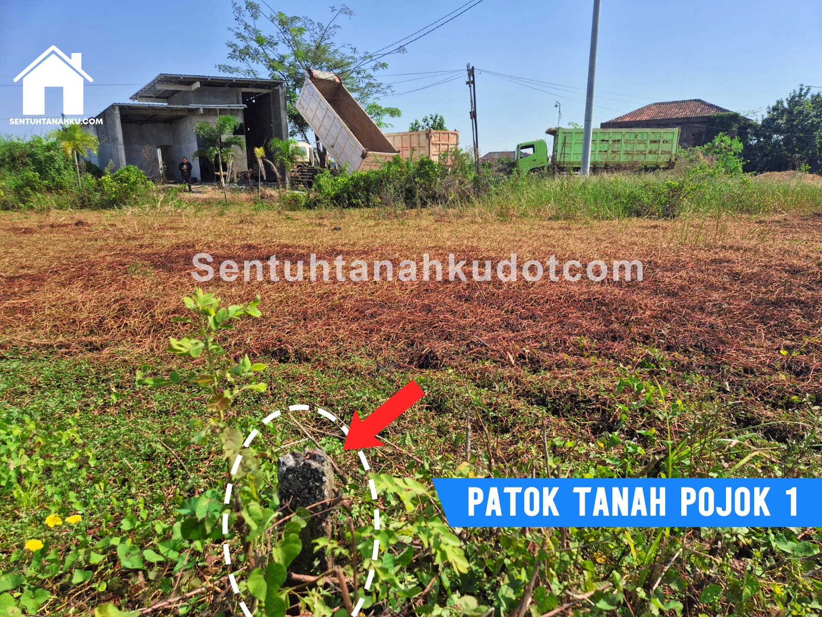 TANAH
