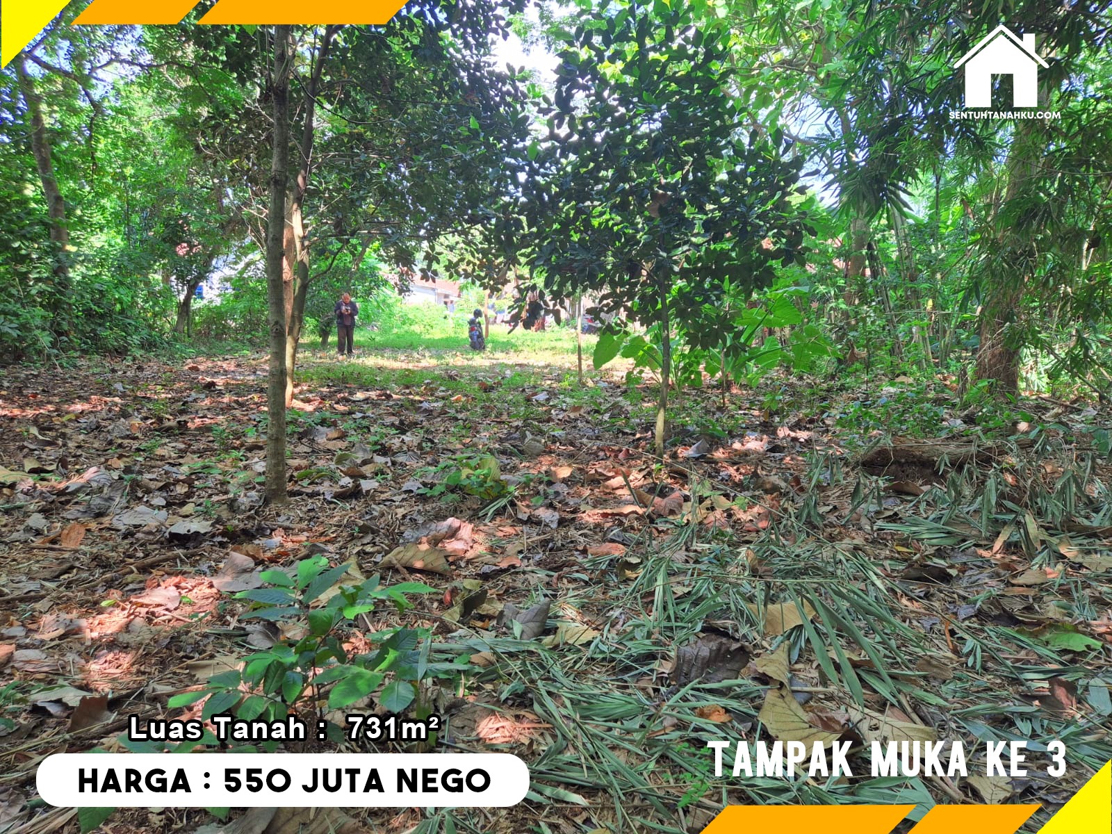 TANAH
