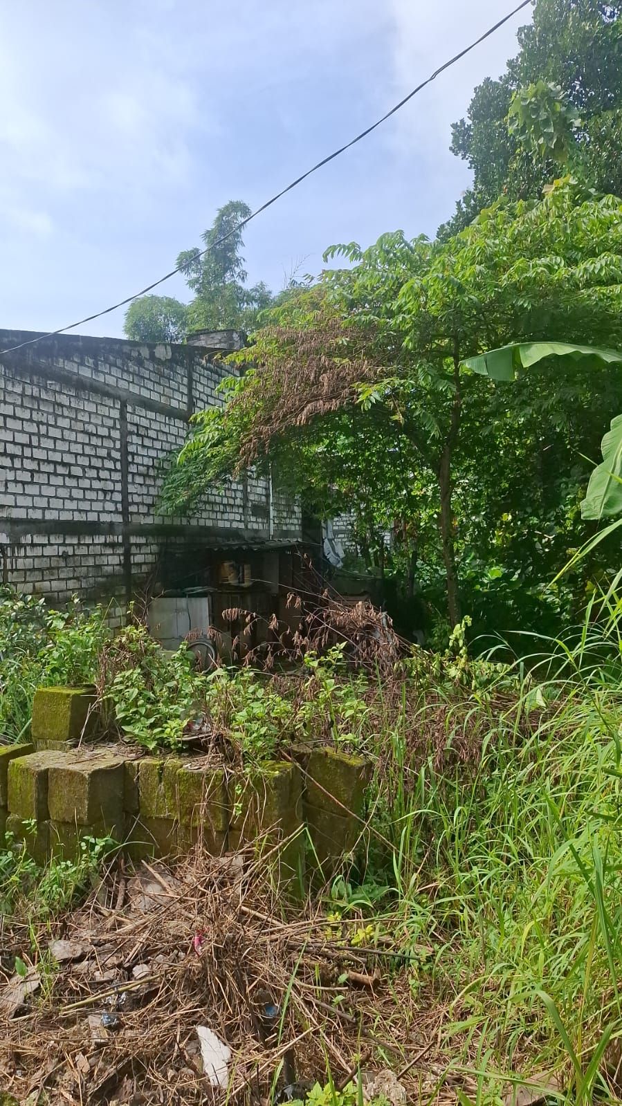 Tanah Sukorejo Bungah